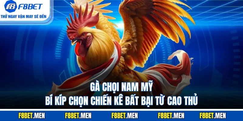 Gà Chọi Nam Mỹ