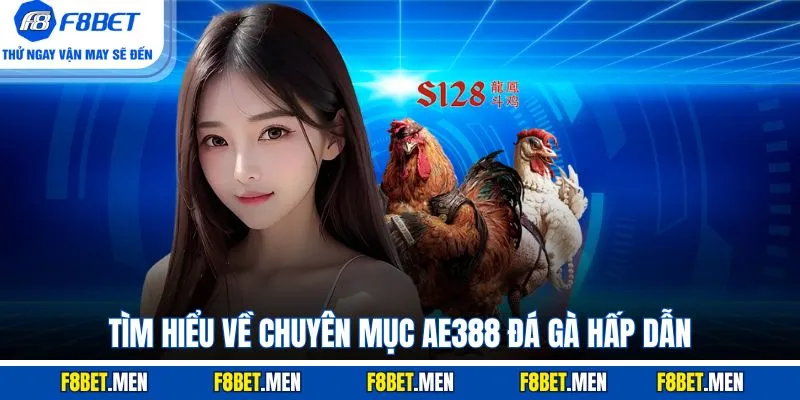 AE388 Đá Gà - Giới Thiệu Sảnh Cược & Các Loại Hình Chính 2 Tìm hiểu về chuyên mục AE388 đá gà hấp dẫn